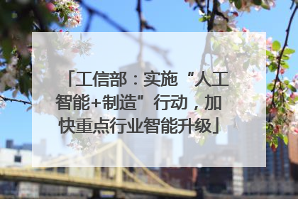 工信部：实施“人工智能+制造”行动，加快重点行业智能升级