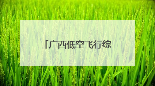 广西低空飞行综合监管服务平台上线测试运行