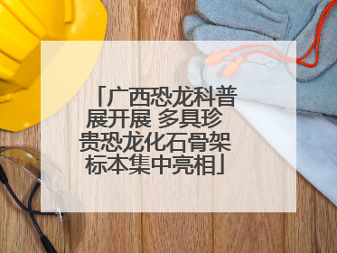 广西恐龙科普展开展 多具珍贵恐龙化石骨架标本集中亮相