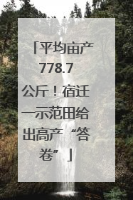 平均亩产778.7公斤！宿迁一示范田给出高产“答卷”