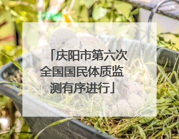 庆阳市第六次全国国民体质监测有序进行