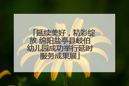 延续美好，精彩绽放 绵阳盐亭县岐伯幼儿园成功举行延时服务成果展