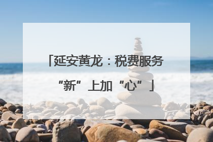 延安黄龙：税费服务“新”上加“心”
