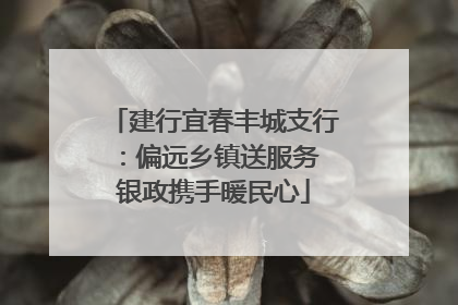 建行宜春丰城支行：偏远乡镇送服务 银政携手暖民心