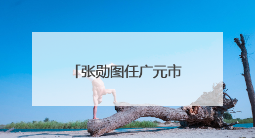 张勋图任广元市人民政府副市长