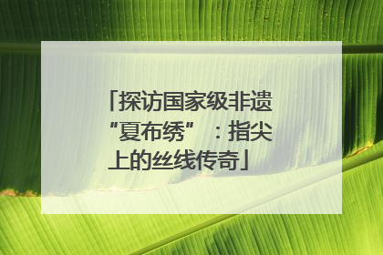 探访国家级非遗“夏布绣”：指尖上的丝线传奇