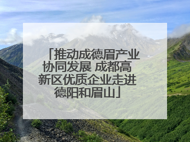 推动成德眉产业协同发展 成都高新区优质企业走进德阳和眉山
