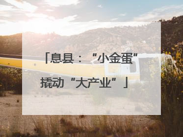 息县：“小金蛋”撬动“大产业”