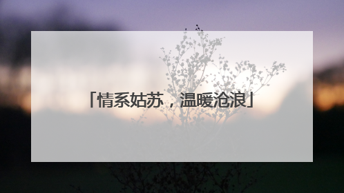 情系姑苏，温暖沧浪