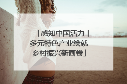 感知中国活力丨多元特色产业绘就乡村振兴新画卷