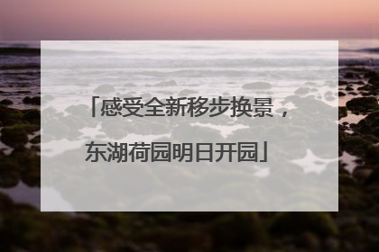 感受全新移步换景，东湖荷园明日开园