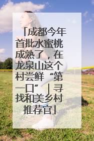 成都今年首批水蜜桃成熟了，在龙泉山这个村尝鲜“第一口”｜寻找和美乡村推荐官