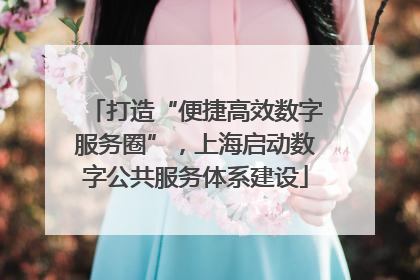 打造“便捷高效数字服务圈”，上海启动数字公共服务体系建设