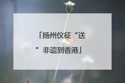 扬州仪征“送”非遗到香港