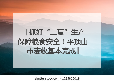抓好“三夏”生产 保障粮食安全！平顶山市麦收基本完成
