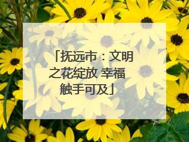 抚远市：文明之花绽放 幸福触手可及