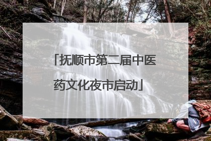 抚顺市第二届中医药文化夜市启动