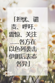 担忧、谴责、呼吁、震惊、关注……各方在以色列袭击伊朗后表态各异
