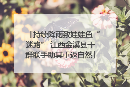 持续降雨致娃娃鱼“迷路” 江西金溪县干群联手助其重返自然