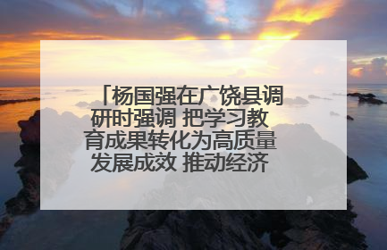 杨国强在广饶县调研时强调 把学习教育成果转化为高质量发展成效 推动经济稳健向好进中提质
