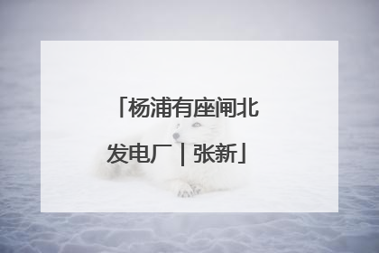 杨浦有座闸北发电厂｜张新