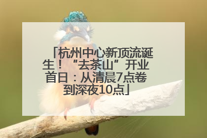 杭州中心新顶流诞生！“去茶山”开业首日：从清晨7点卷到深夜10点