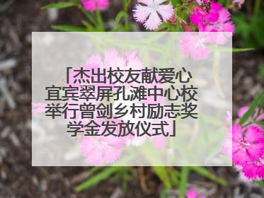 杰出校友献爱心 宜宾翠屏孔滩中心校举行曾剑乡村励志奖学金发放仪式