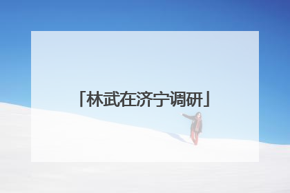 林武在济宁调研