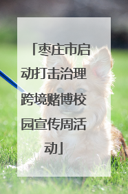 枣庄市启动打击治理跨境赌博校园宣传周活动