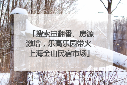 搜索量翻番、房源激增，乐高乐园带火上海金山民宿市场