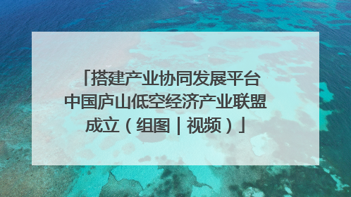 搭建产业协同发展平台 中国庐山低空经济产业联盟成立（组图｜视频）