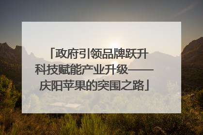 政府引领品牌跃升 科技赋能产业升级——庆阳苹果的突围之路