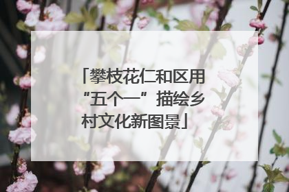 攀枝花仁和区用“五个一”描绘乡村文化新图景