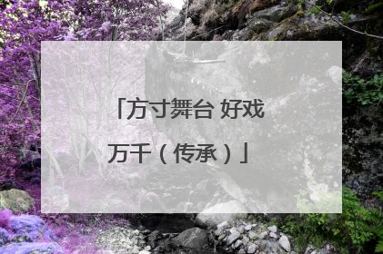 方寸舞台 好戏万千（传承）