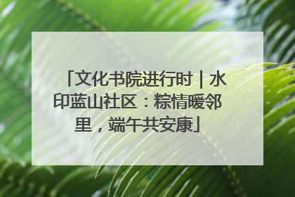 文化书院进行时｜水印蓝山社区：粽情暖邻里，端午共安康