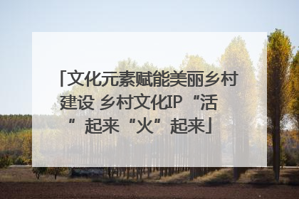 文化元素赋能美丽乡村建设 乡村文化IP“活”起来“火”起来