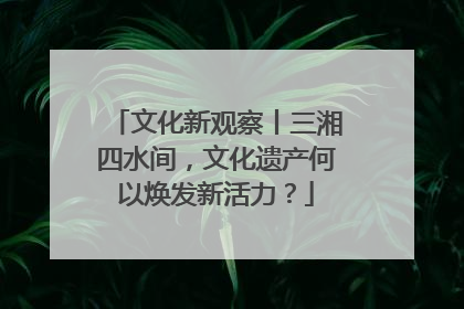 文化新观察丨三湘四水间，文化遗产何以焕发新活力？