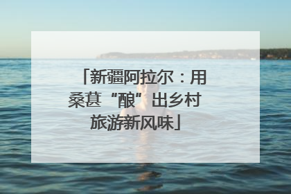 新疆阿拉尔：用桑葚“酿”出乡村旅游新风味