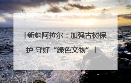 新疆阿拉尔：加强古树保护 守好“绿色文物”