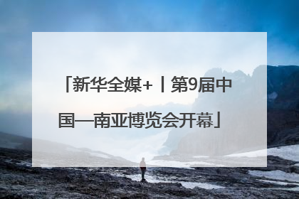 新华全媒+丨第9届中国—南亚博览会开幕