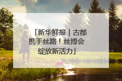 新华鲜报｜古都携手丝路！丝博会绽放新活力