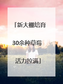 新大棚培育30余种草莓 活力拉满