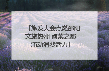 旅发大会点燃邵阳文旅热潮 卤菜之都涌动消费活力