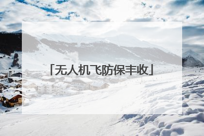 无人机飞防保丰收