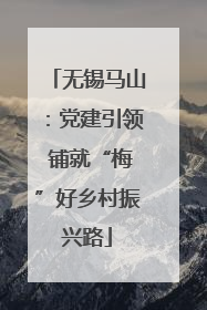 无锡马山：党建引领 铺就“梅”好乡村振兴路