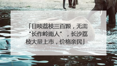 日啖荔枝三百颗，无需“长作岭南人”，长沙荔枝大量上市，价格亲民