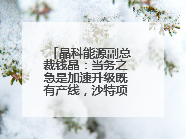 晶科能源副总裁钱晶：当务之急是加速升级既有产线，沙特项目正推进中