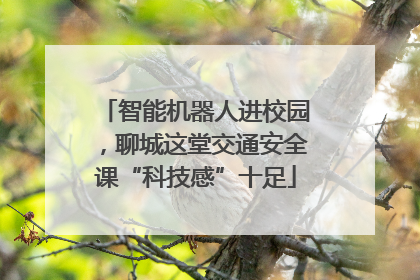 智能机器人进校园，聊城这堂交通安全课“科技感”十足