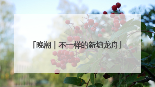 晚潮｜不一样的新塘龙舟