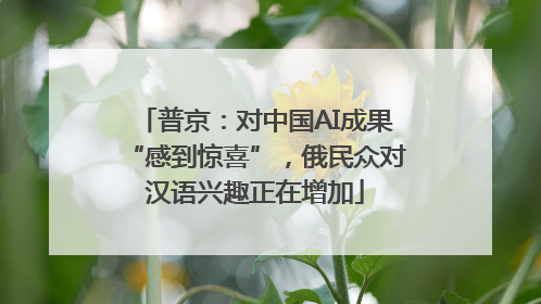 普京：对中国AI成果“感到惊喜”，俄民众对汉语兴趣正在增加